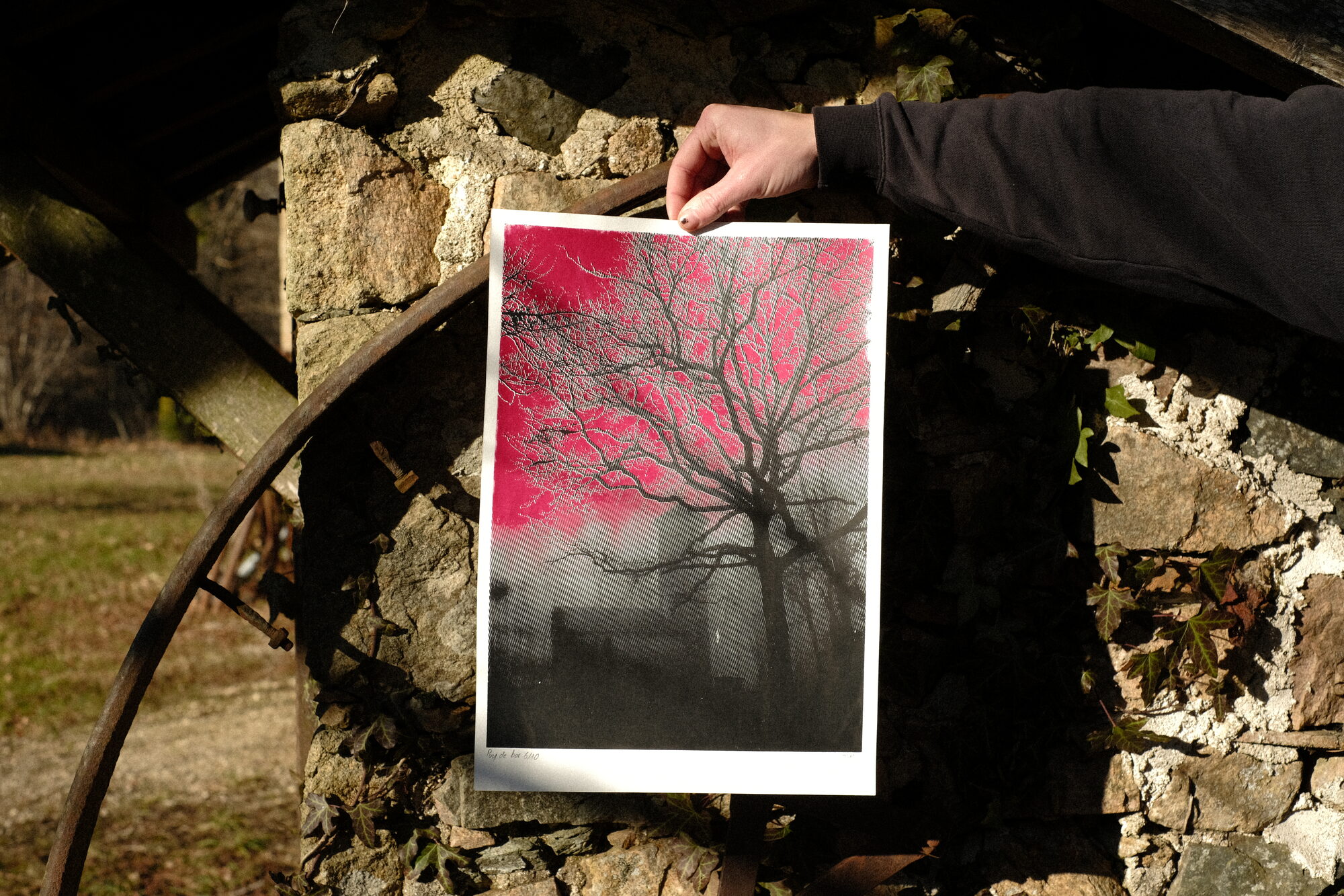Affiche